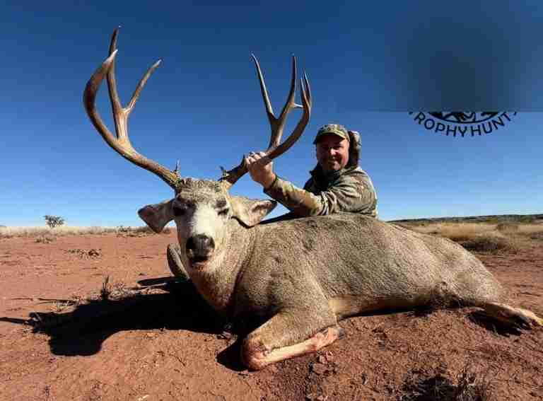 New Mexico Mule Deer guided hunt in New Mexico