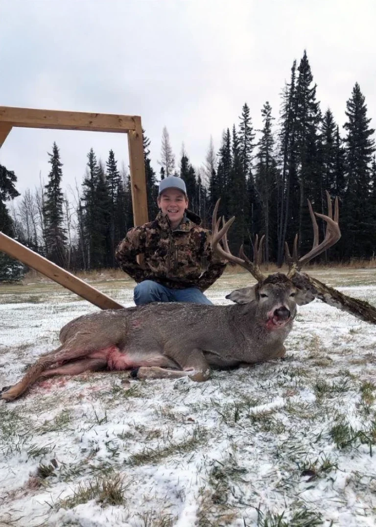 Alberta Whitetail guided hunt in Alberta