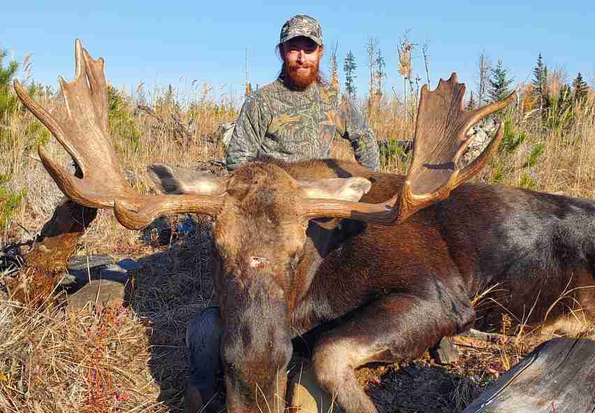 Remote backcountry moose hunting in Alberta Canada